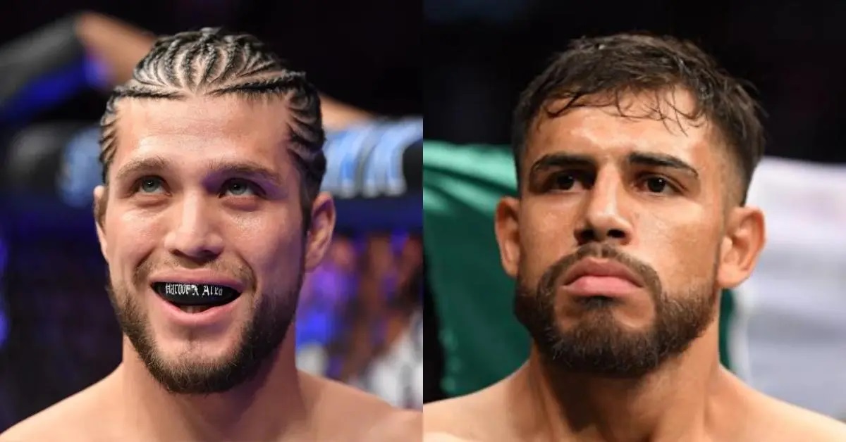 Ortega vs Rodriguez UFC Nowy Jork